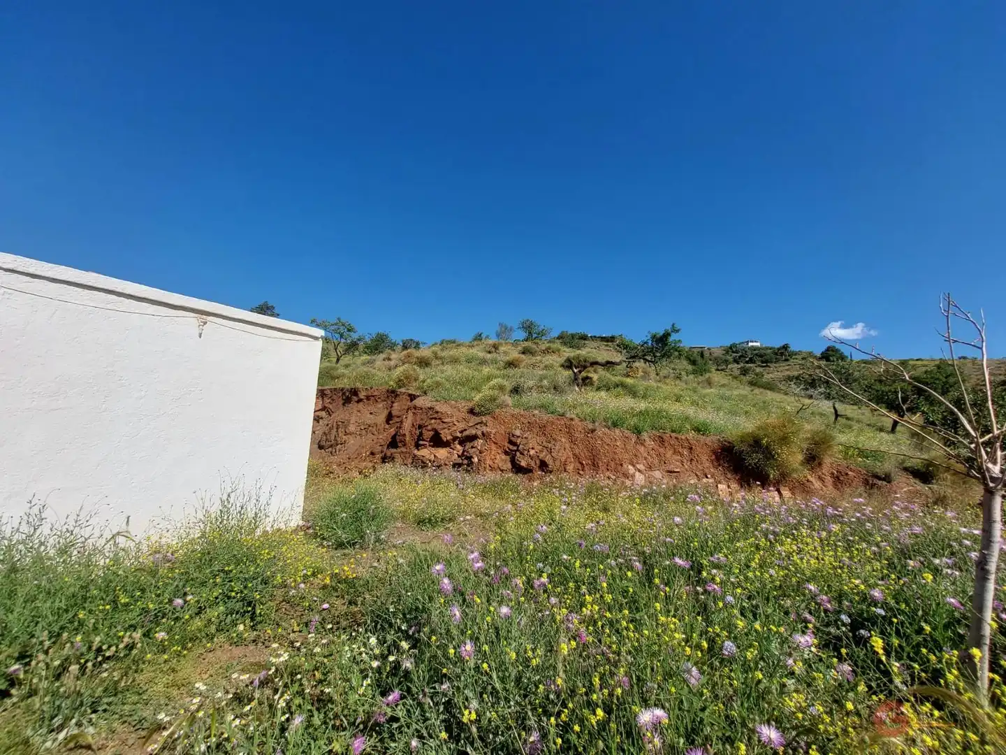 Finca rústica en venta en Monte los Almendros - El Pargo - Costa Aguilera