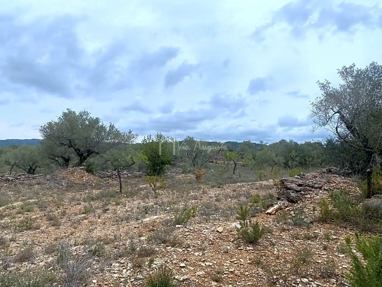 Terreno rustico in vendita a Burga, imagen 13