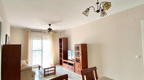 Foto 3 de Apartament per a compartir a Pago San José - Princi - Jerez, Jerez de la Frontera