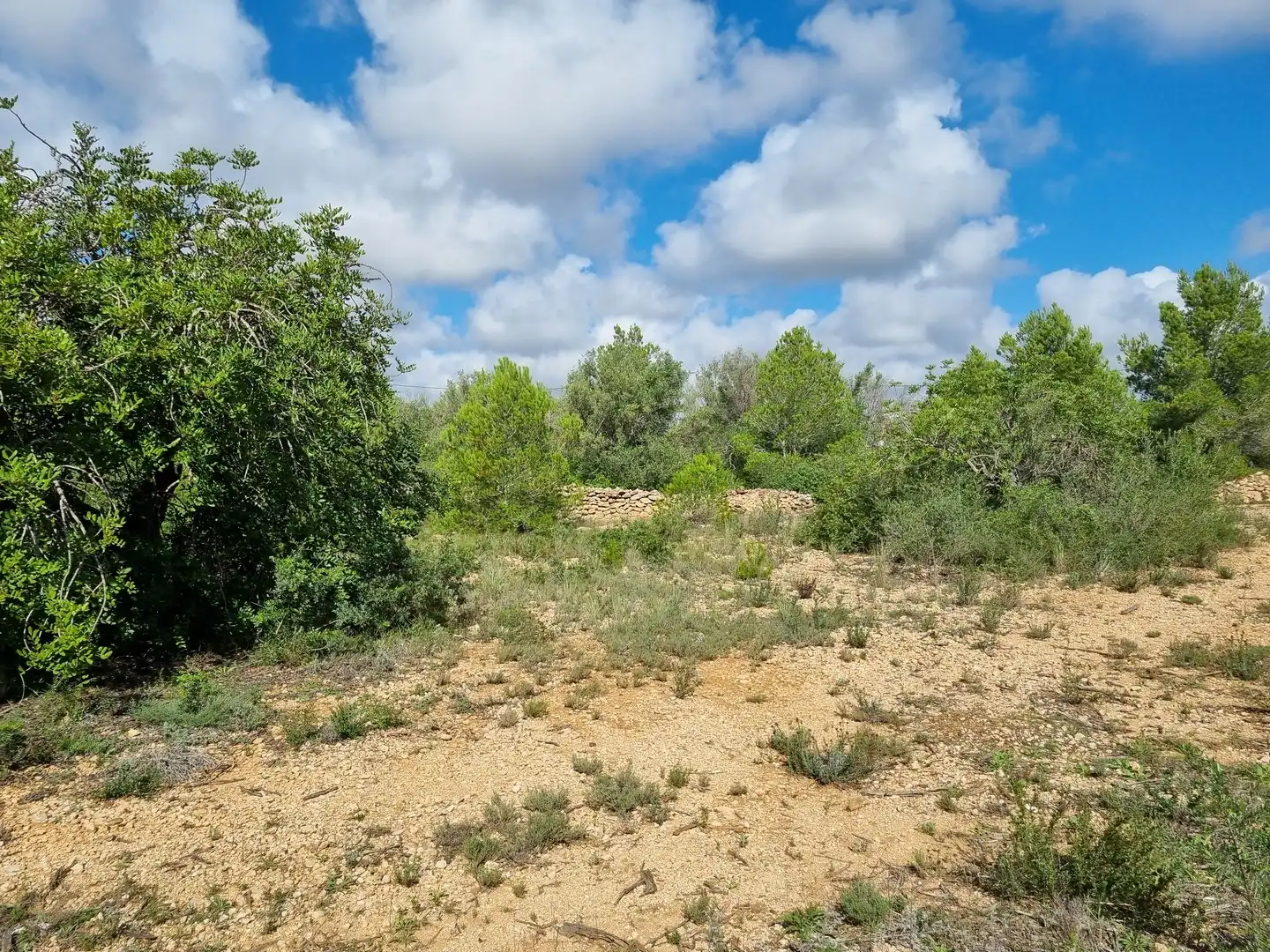 Terrain rustique à vendre à Carrer Andreu Llambrich 48, imagen 13
