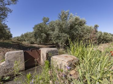 Terreno rustico in vendita a Polígono 1, Parcela 262, Cozvíjar