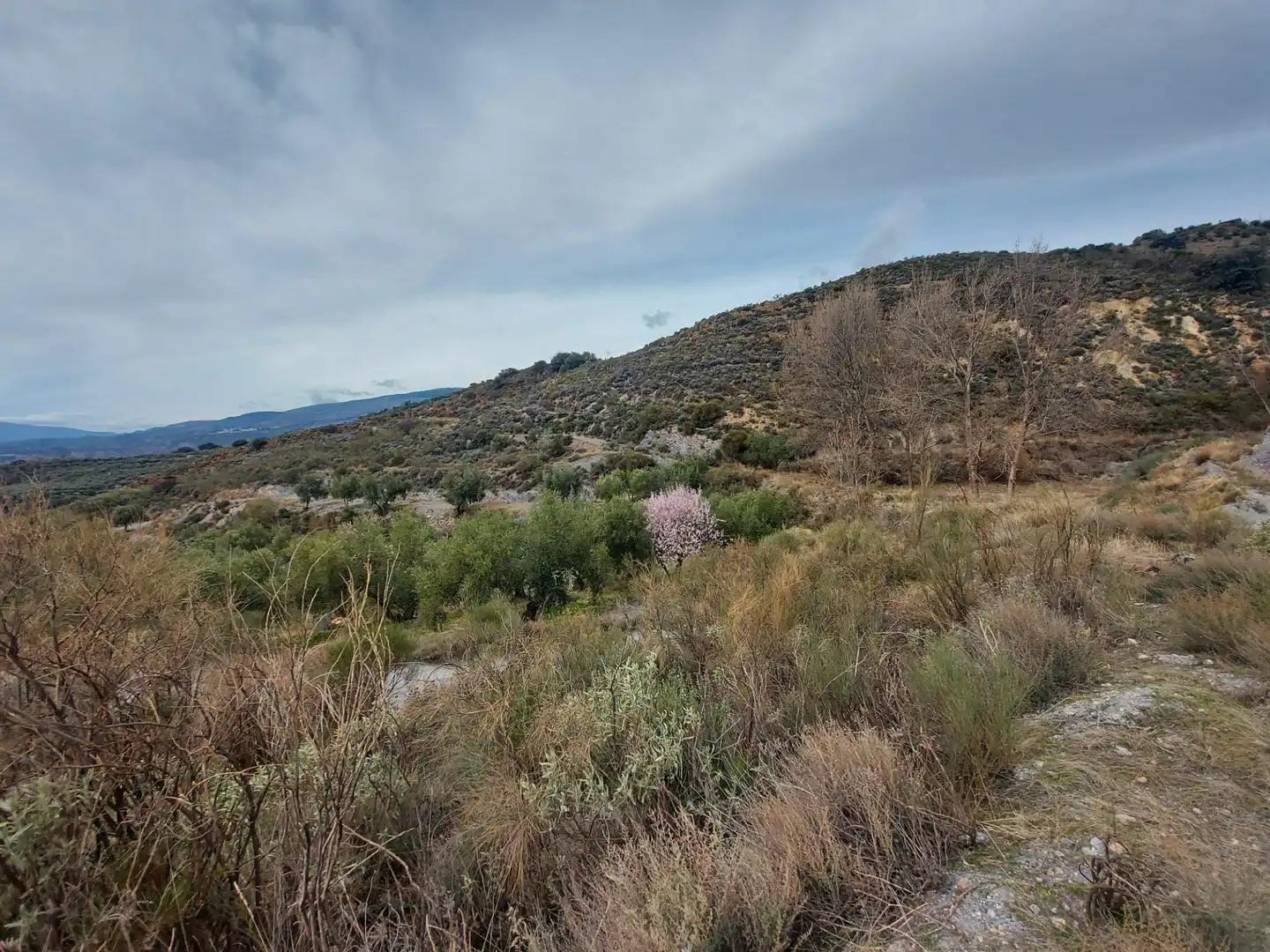 Country homes for sale in Nevada