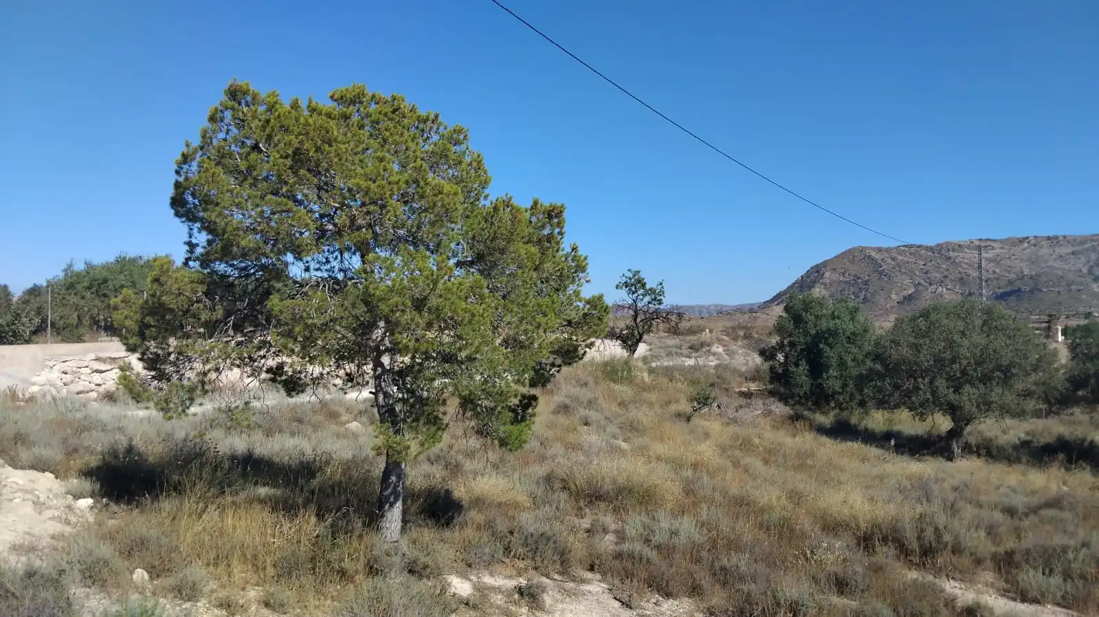 Terreny rústic en venda a Partida Sol del Camp 144, imagen 6