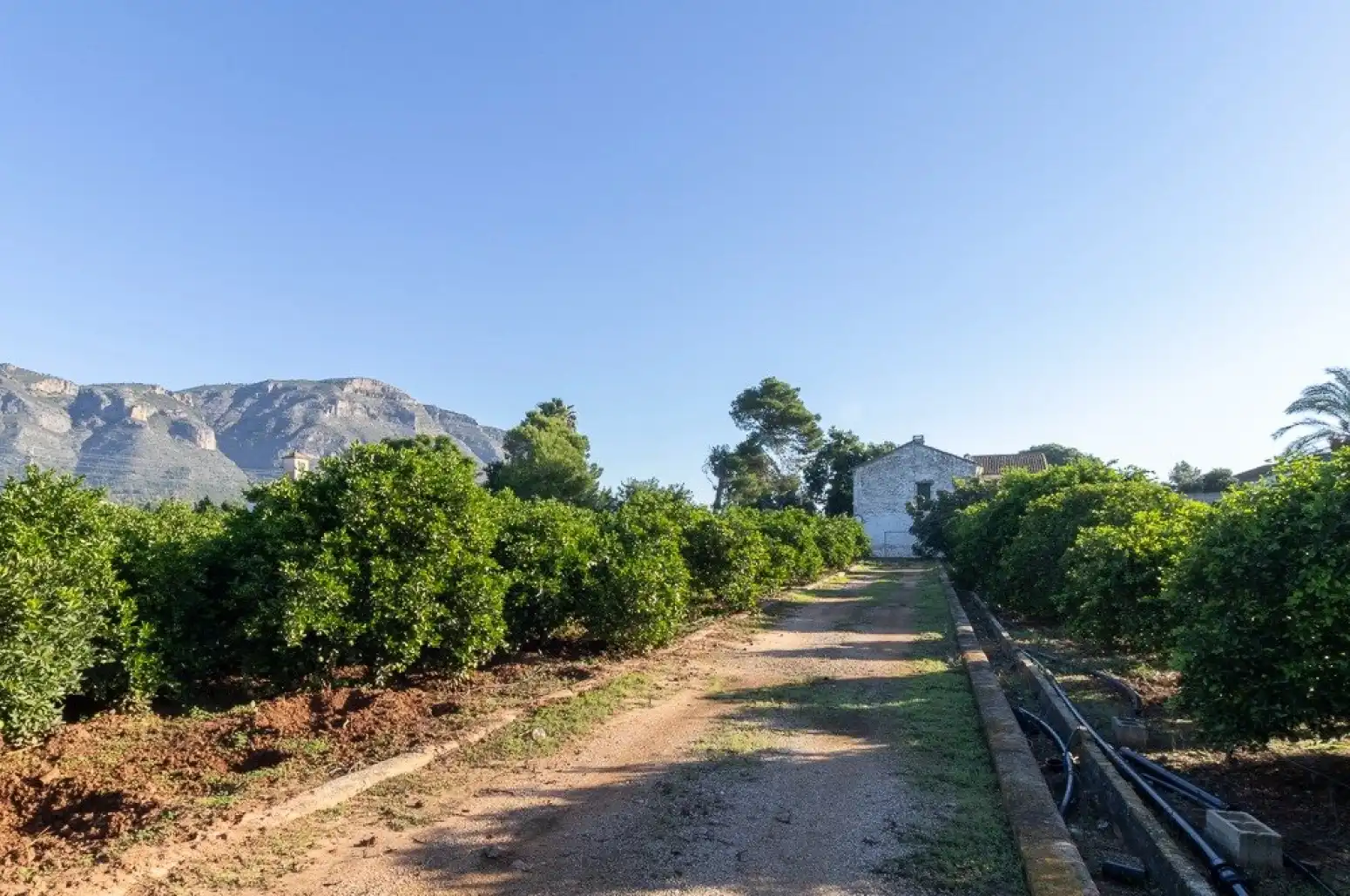 Maison à vendre à Benifairó de la Valldigna - HORTA, imagen 59