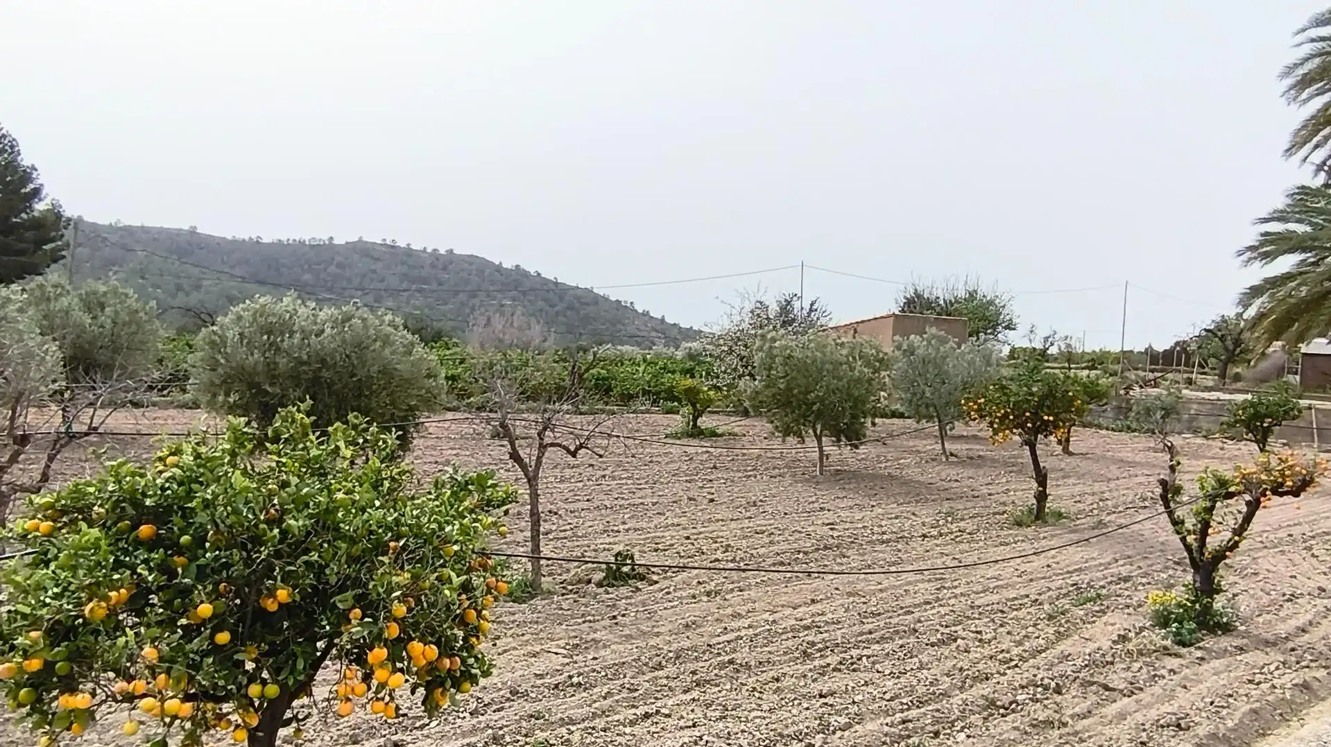 Finca rústica en venta en Aigües con Jardín privado