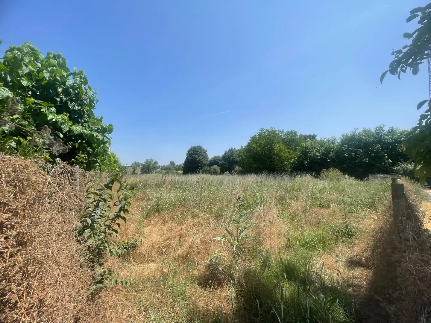 Rural land for sale in Balaguer, imagen 3