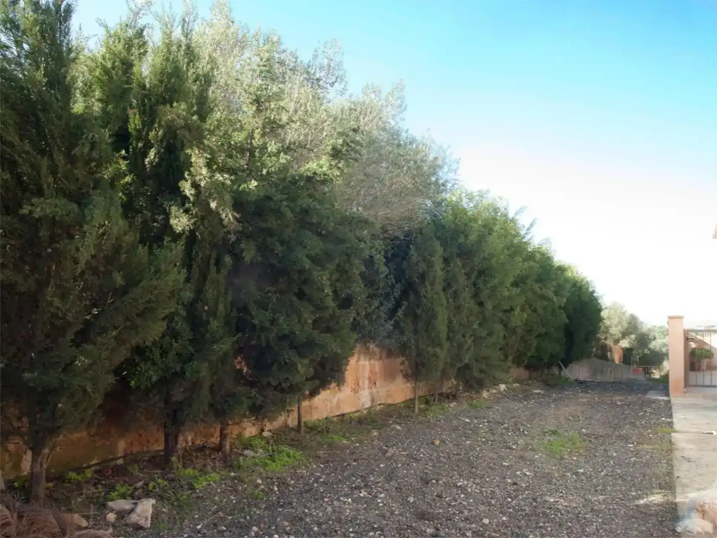 Finca rústica en venda en  Palma de Mallorca amb Aire condicionat i Piscina