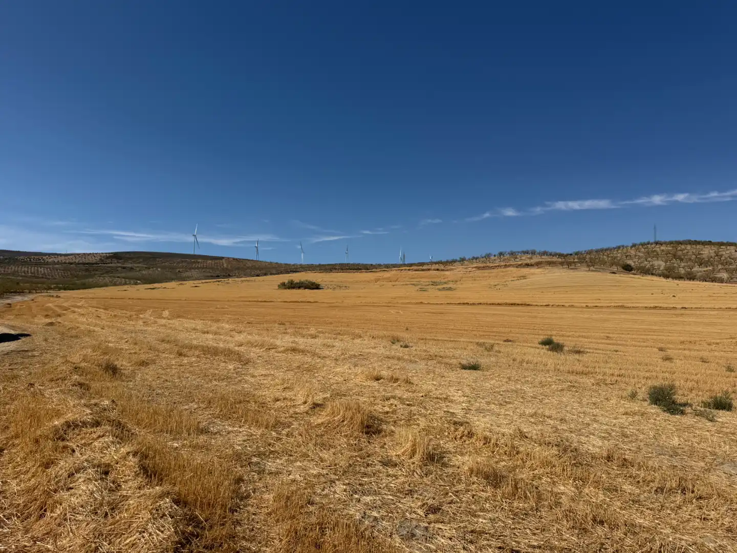 Terreno rustico in vendita a Camino de Alhendín, imagen 8