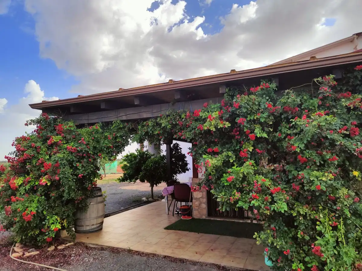 Casa rústica en venda a Valdepeñas, imagen 6