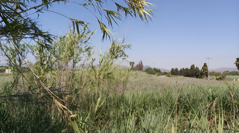 Photo 5 of Residential for sale in Sector Sunp-4 Playa de Sagunto, 29. Parcel, -1, Corinto - Almarda, Valencia