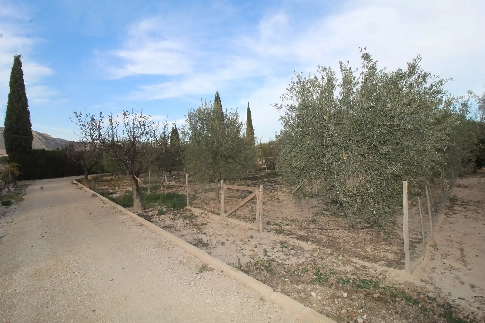 Casa amb terrassa en venda a Campo Alto - Club de Campo, imagen 19