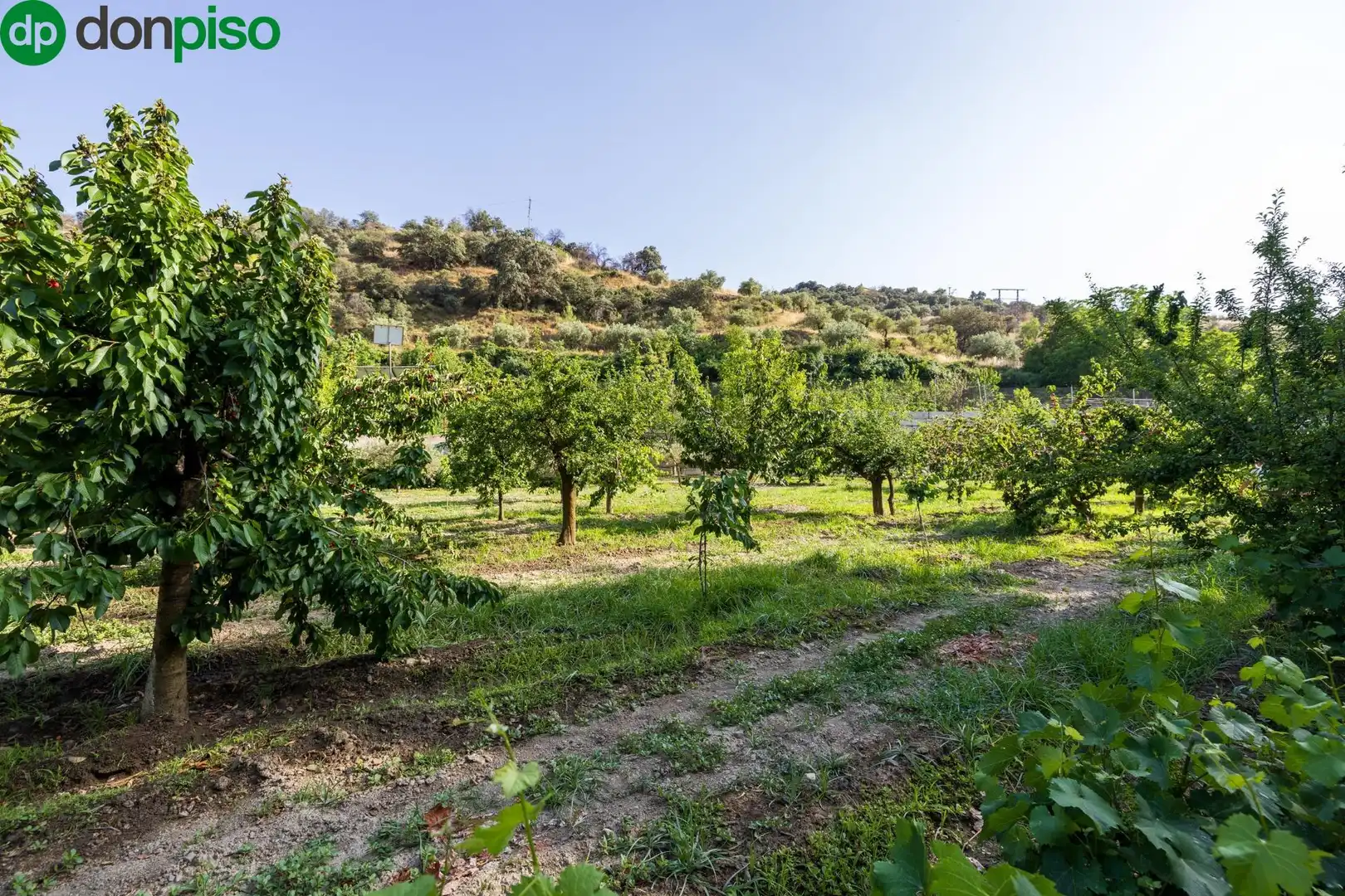 Terreno en venta en Paseo Paseo Duquesa, Pinos Genil