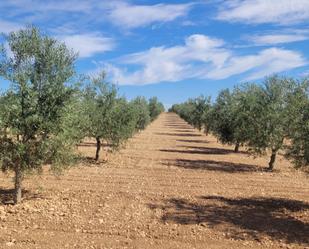 Finca rústica en venda a Puerta de Toledo - Atalaya