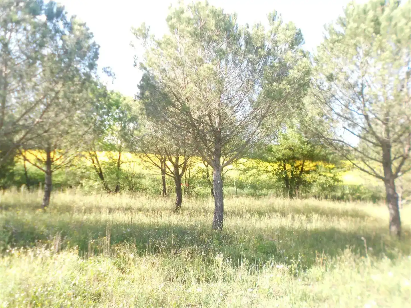 Finca rústica en venda en Vilobí d'Onyar amb Balcó