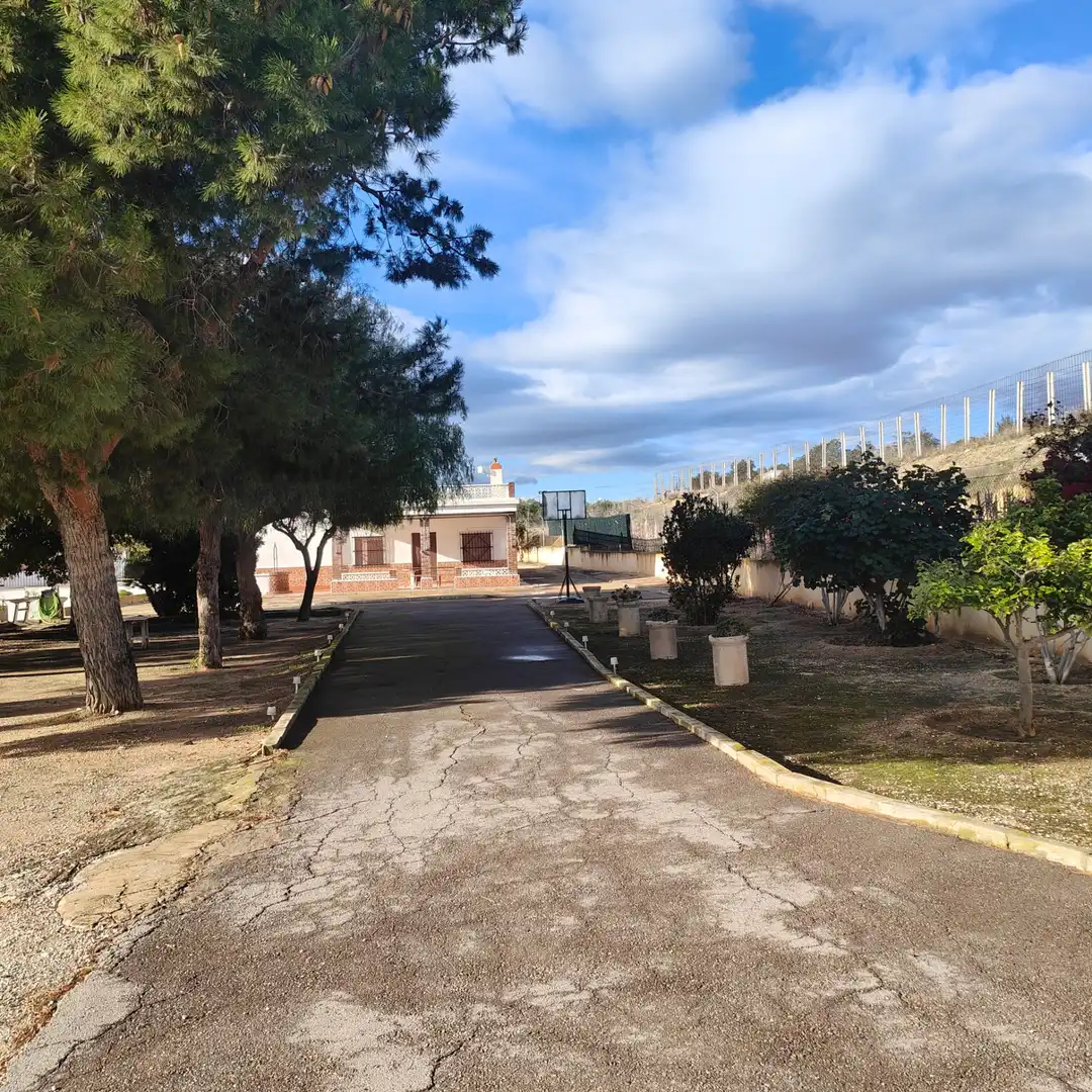 Exterior view of Houses for sale in Aspe  with Private garden, Terrace and Swimming Pool