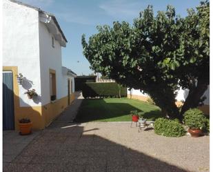 Garden of Flat for sale in Valdestillas