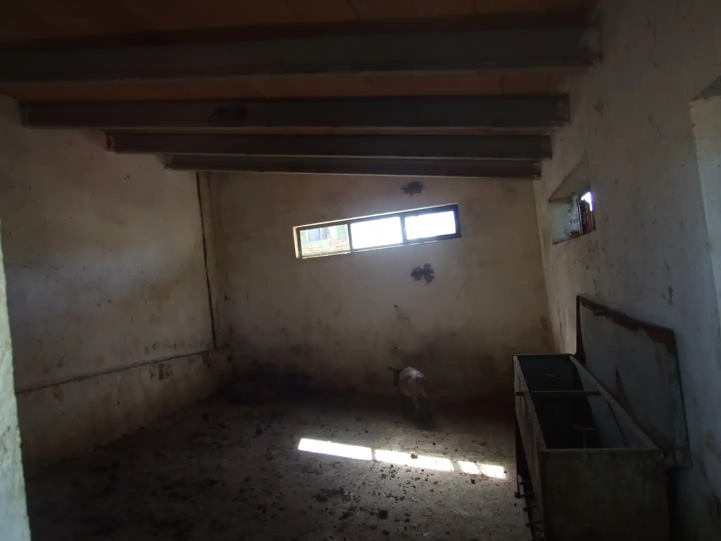 Terreno rustico in vendita a Carretera Fuente del Maestre-Huerta Julián 44, imagen 14