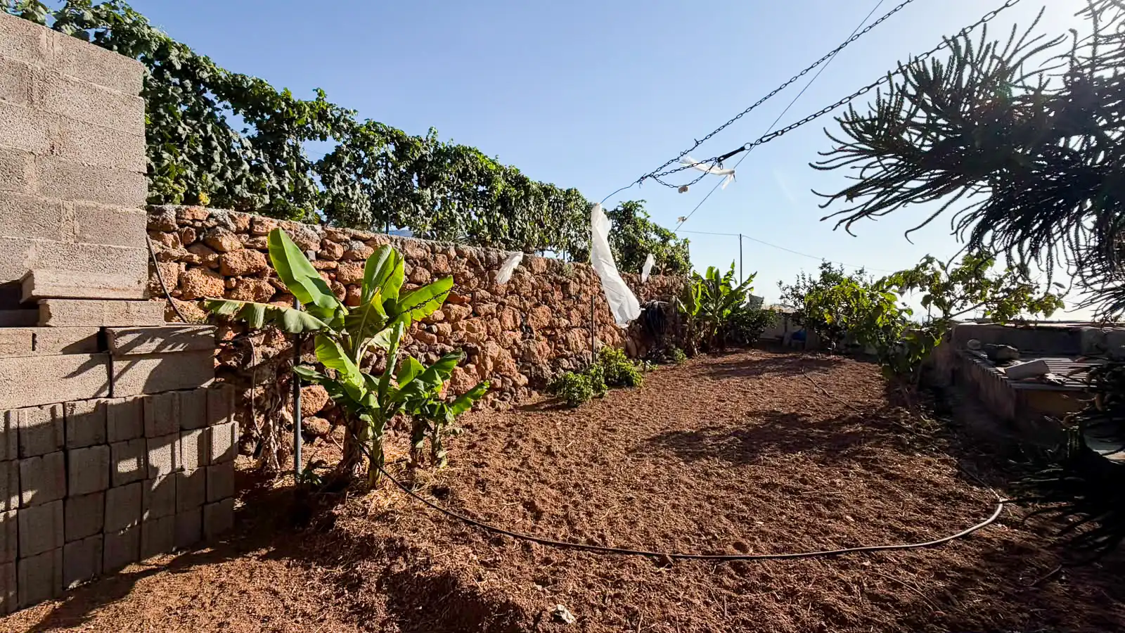 Rural land for sale in Arafo, imagen 5