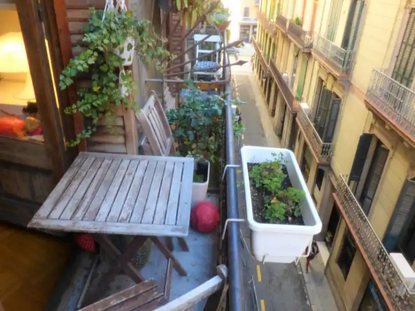 Appartement à vendre à julia portet 6