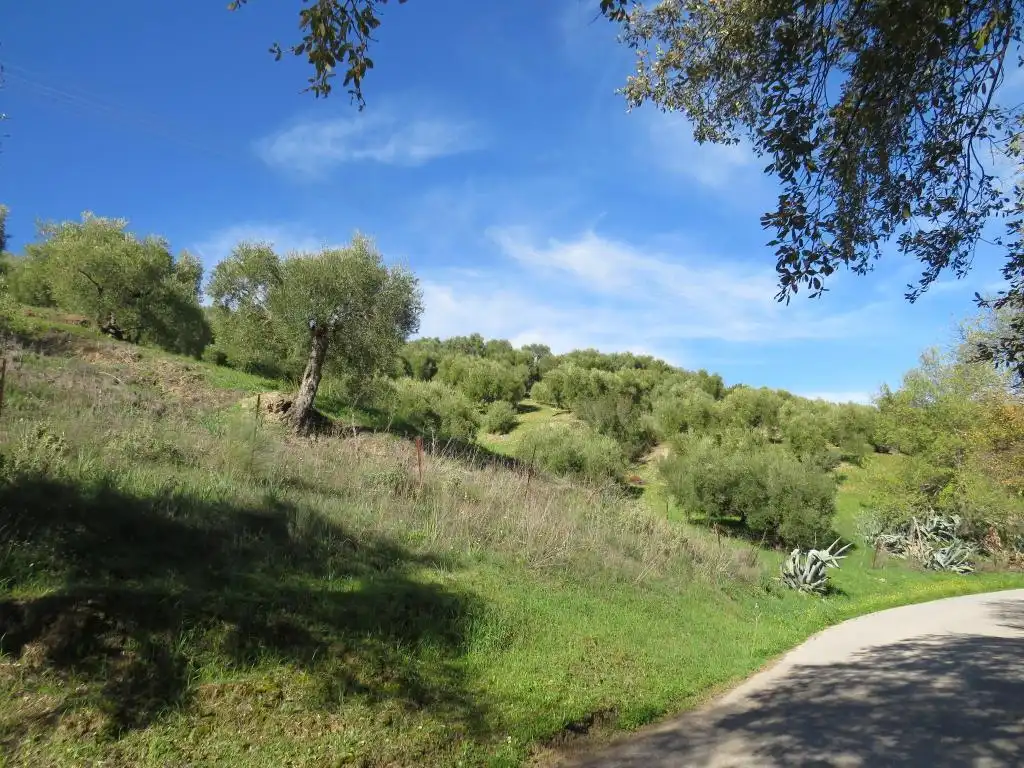 Terreno en venta en Cádiz
