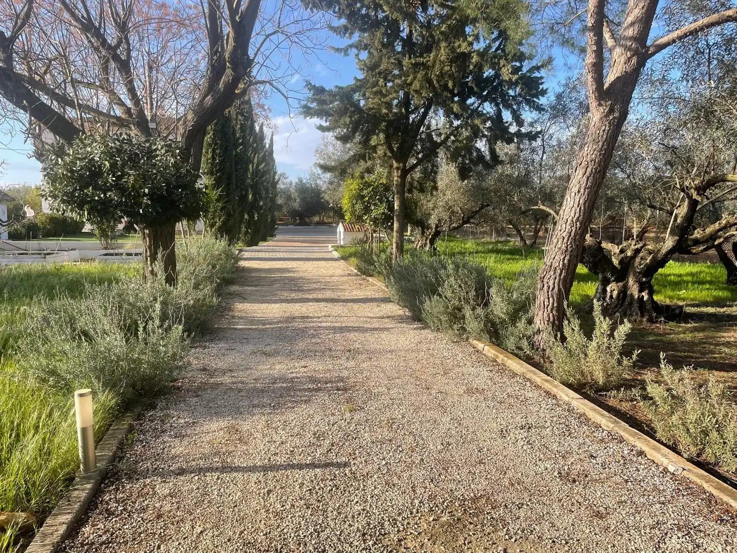 Jardín de Finca rústica en venta en Puente Genil con Aire acondicionado, Jardín privado y Terraza