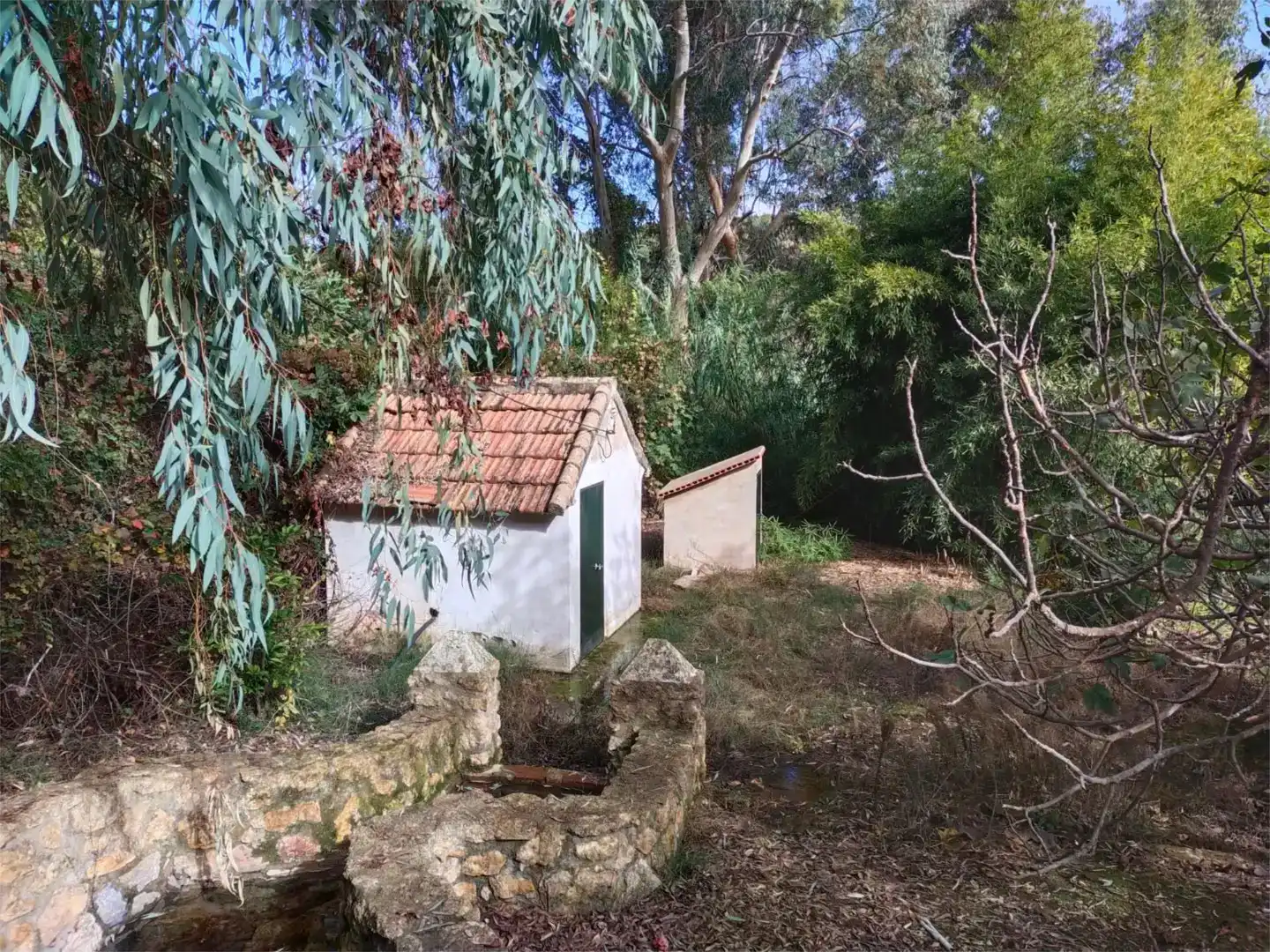 Jardí de Finca rústica en venda en Hornachuelos amb Jardí privat, Piscina i Moblat