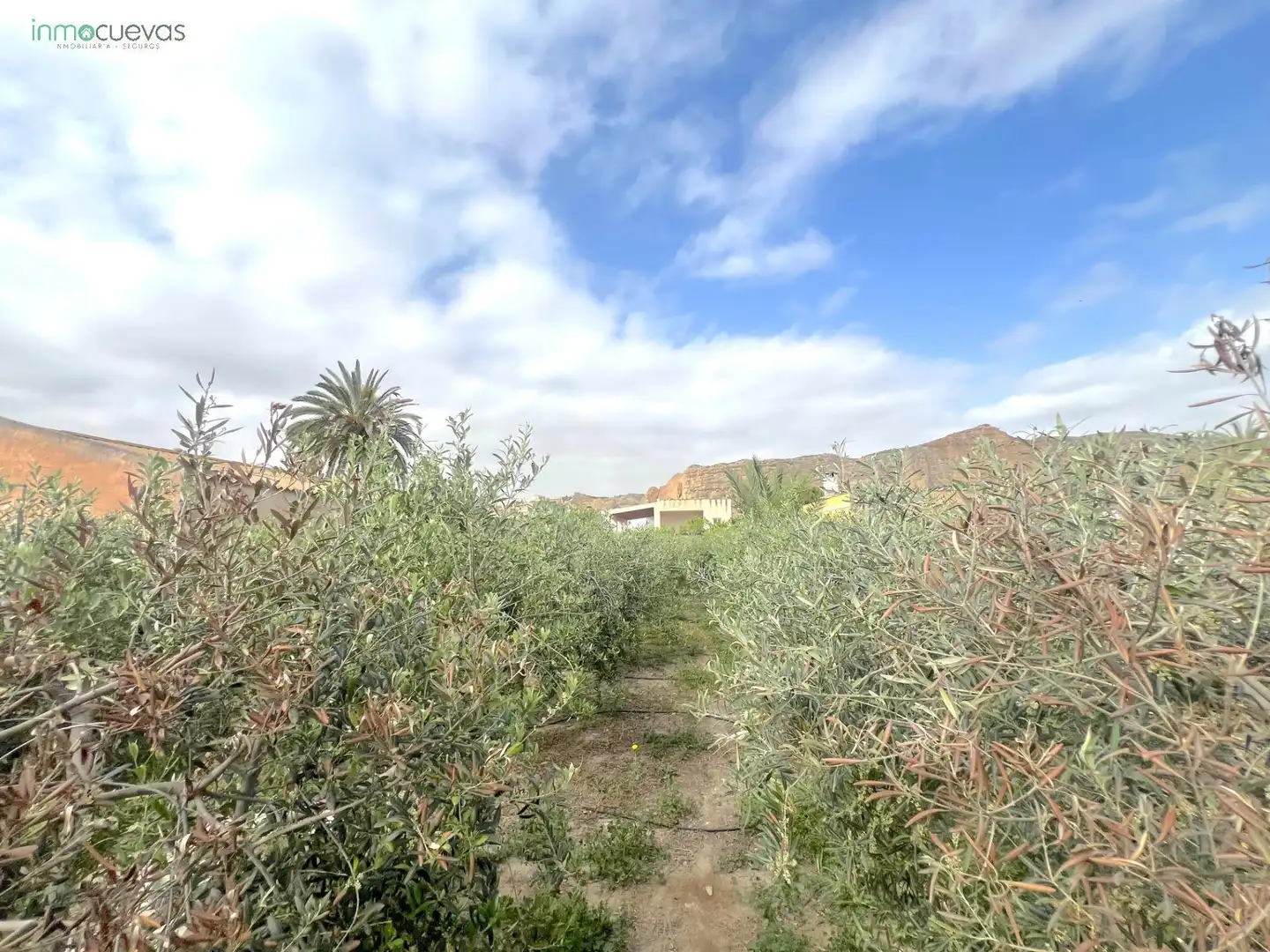 Landhaus mit Garten zum Verkauf in Cuevas del Almanzora pueblo, imagen 35