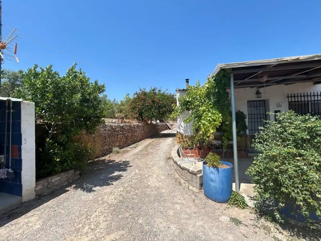Vista exterior de Finca rústica en venta en Sot de Ferrer