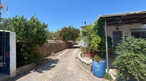 Foto 5 de Finca rústica en venta en Poligono Poligono 3, Sot de Ferrer, Castellón
