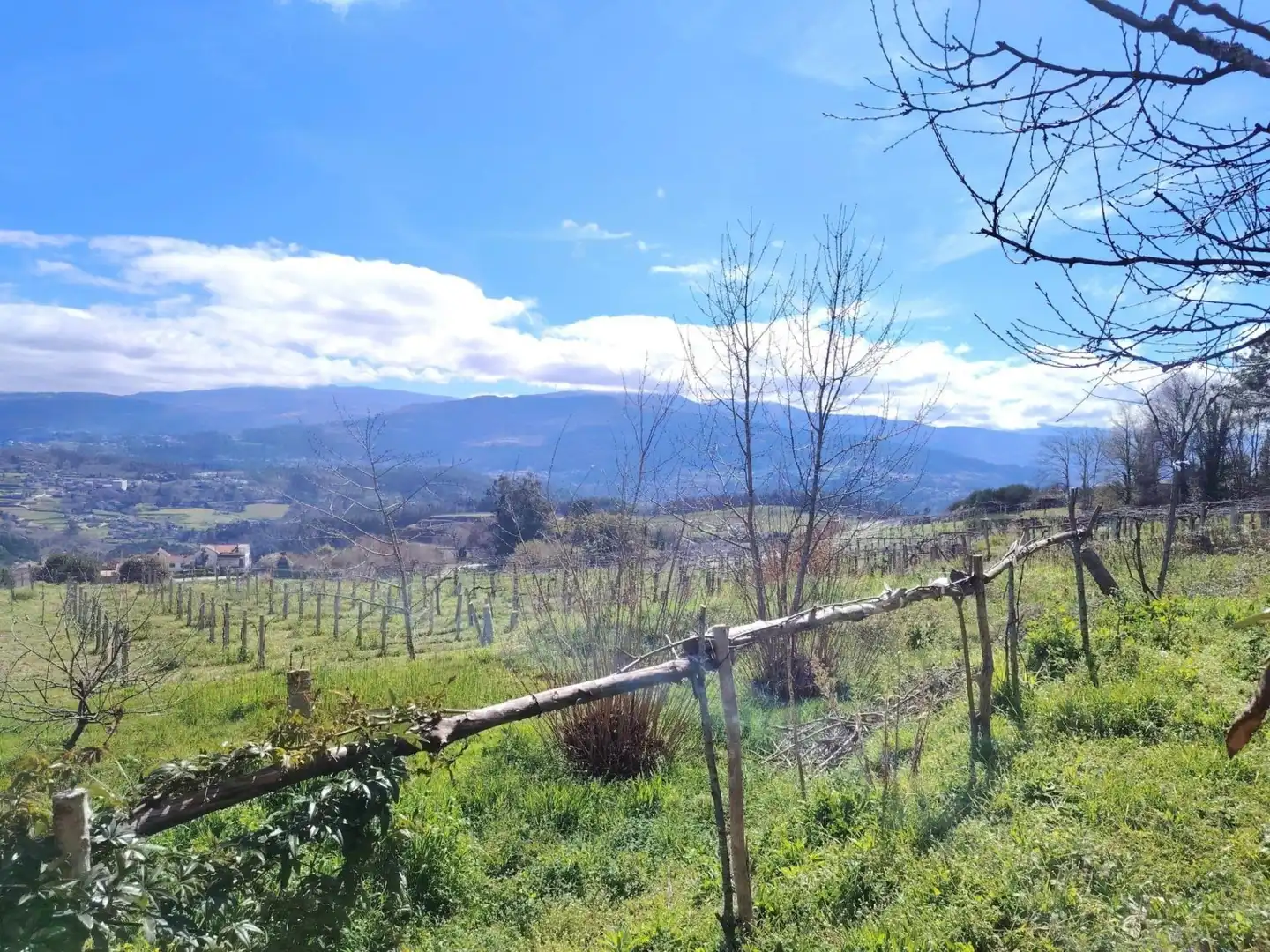 Casa o chalet en venta en Crecente con Calefacción