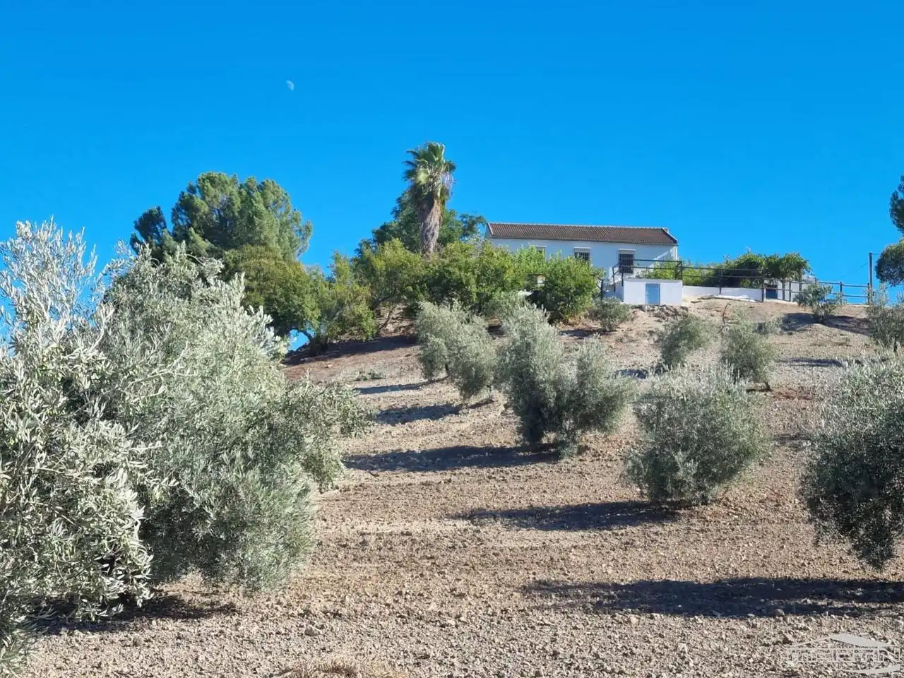 Haus mit Pool zum Verkauf in Cortijo Grande, imagen 45
