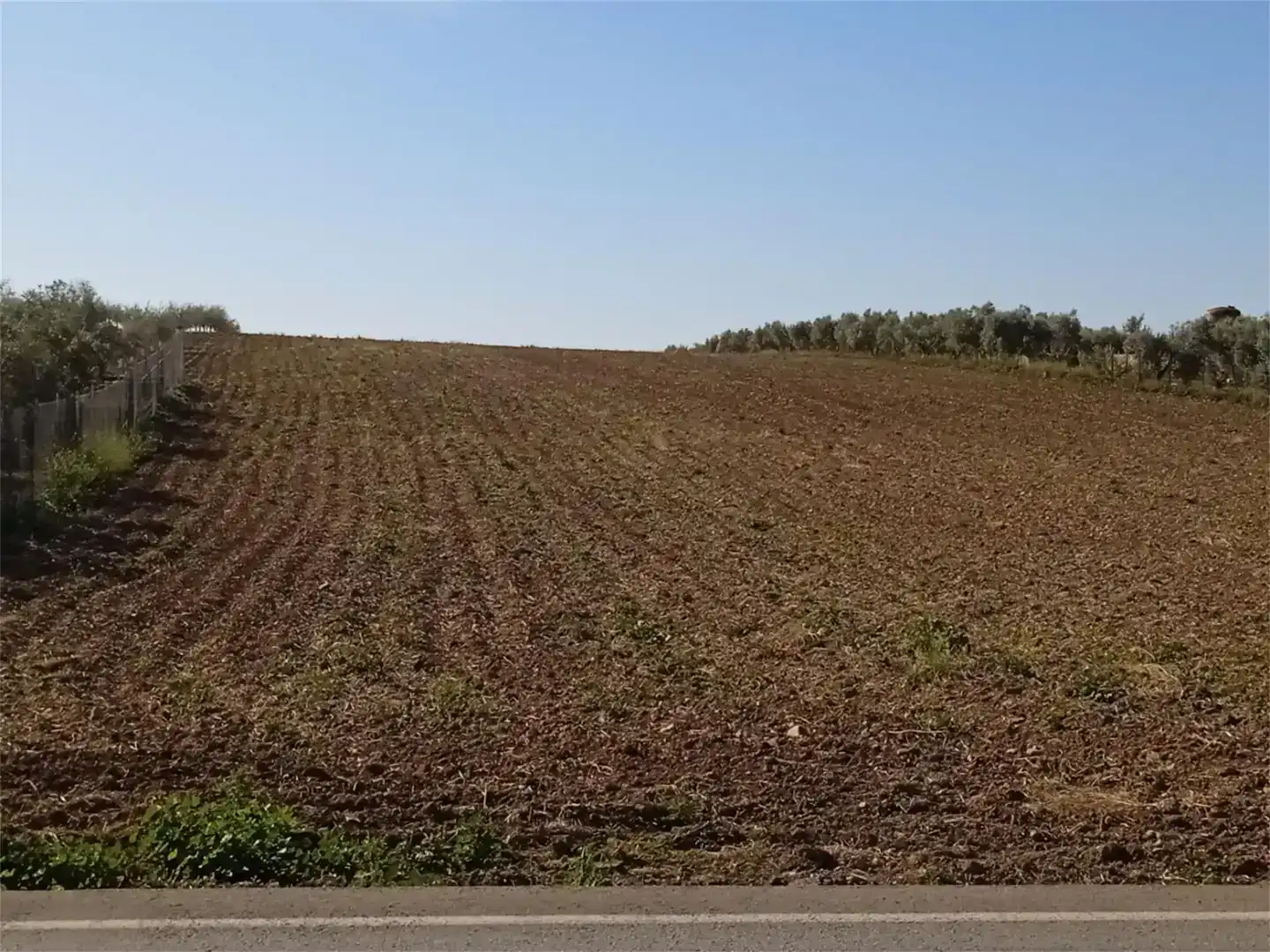Finca rústica en venda en La Carlota