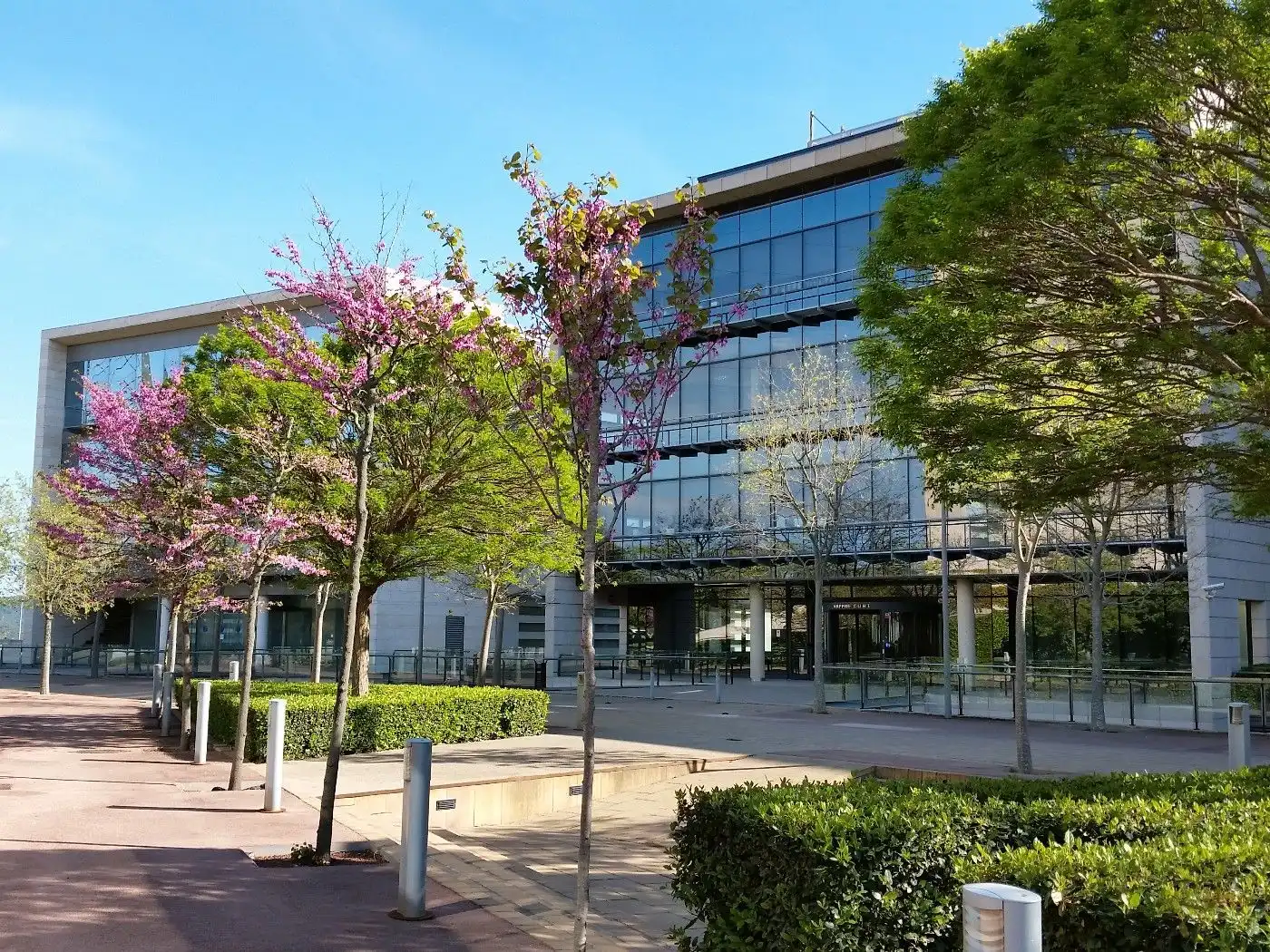 Office space to rent in Bellaterra, imagen 5