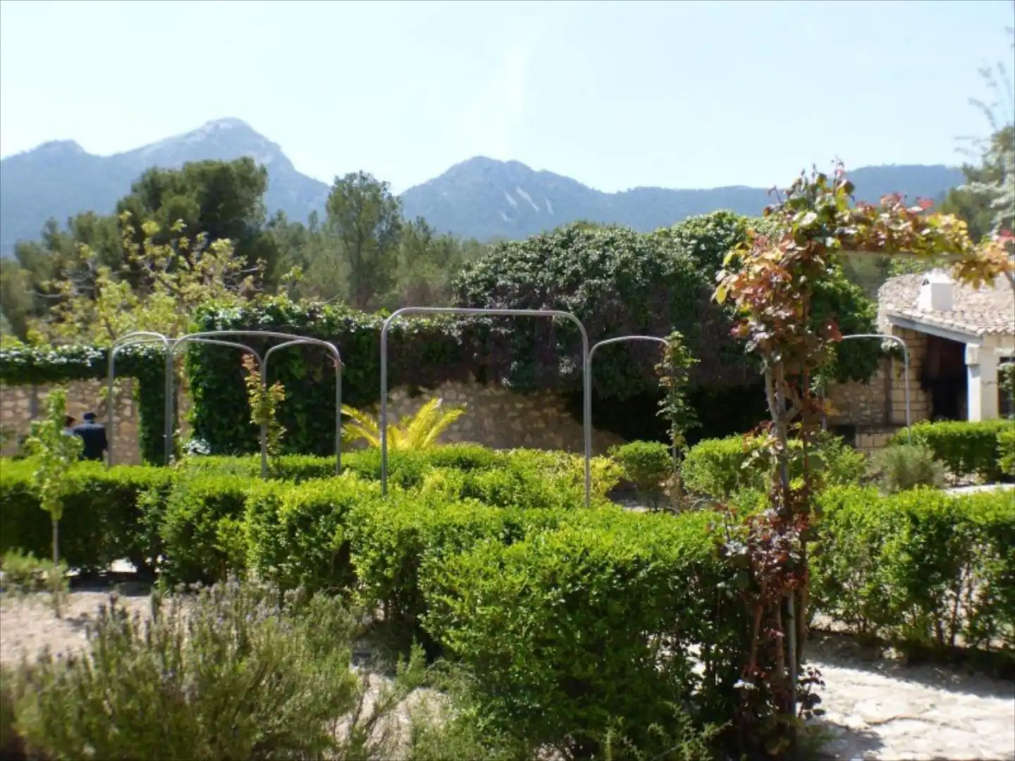 Garden of Residential for sale in Tibi
