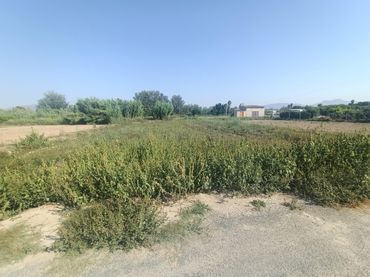 Terreny residencial en venda a Lorquí