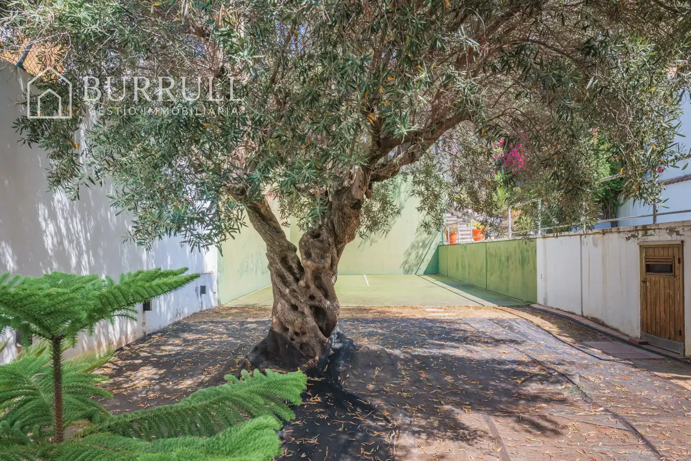 Villa avec piscine à vendre à Centre, imagen 2