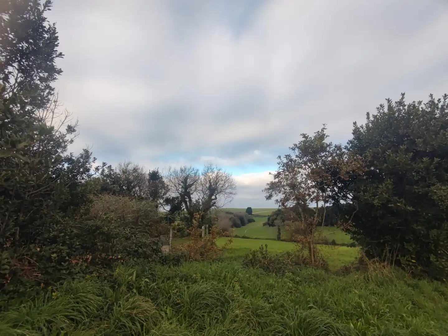 Grundstücke und Bauplätze zum Verkauf in Polígono 4 Parcela 520 CP LA MARINA TAPIA DE CAS, imagen 6