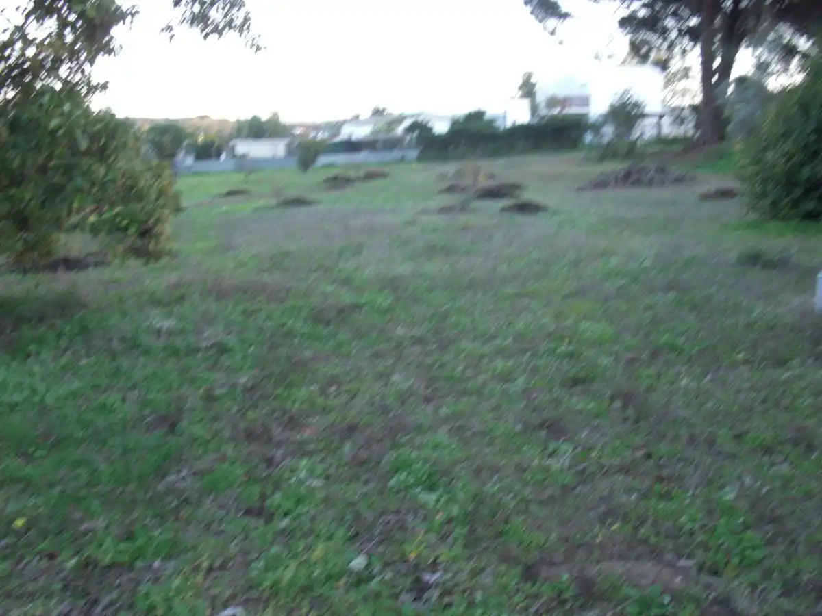 Casa rústica en venda a Barbate ciudad, imagen 2