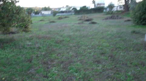 Finca Rúst. en venta en El Soto., imatge 2