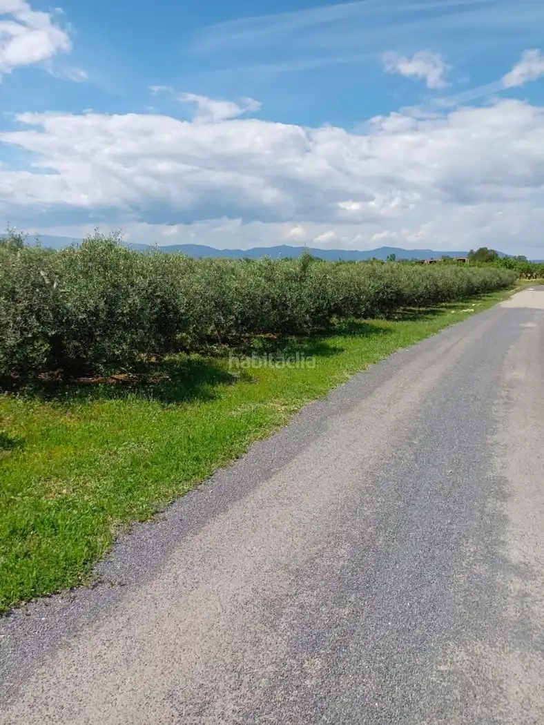 Rural land for sale in Carrer Molí del Mig 29, imagen 5