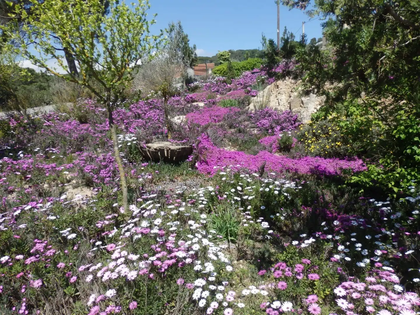 Terrenos y solares en venta en Vilanova del Vallès, imagen 10