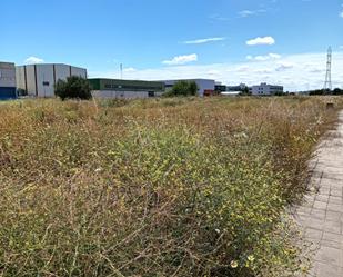 Industrial land for sale in La Rinconada