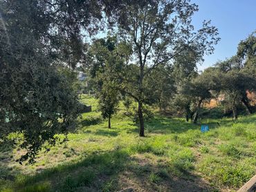 Terrenos y solares en venta en Santa Coloma de Farners