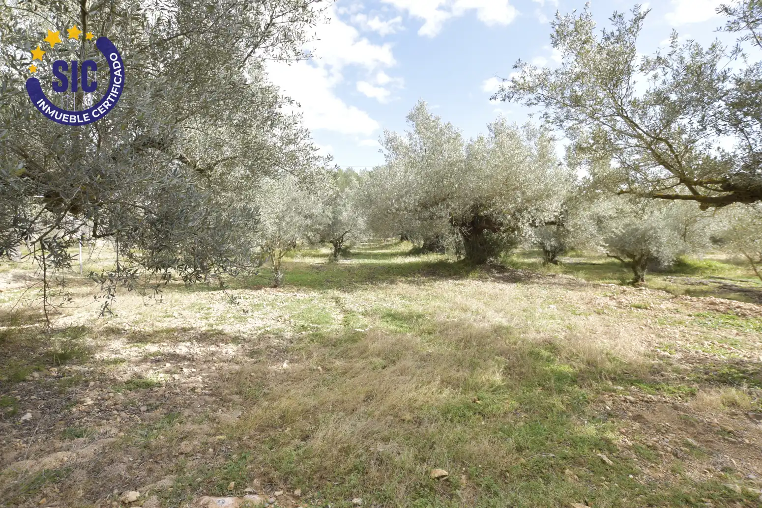 Land for sale in Jérica