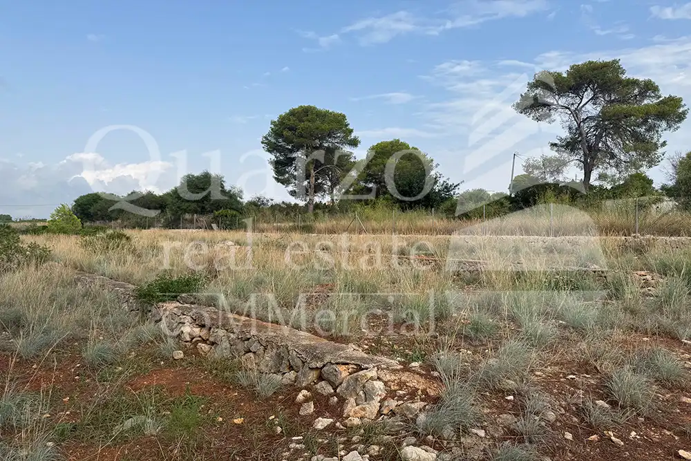 Terreno rustico in vendita a Carrer Lici, imagen 27