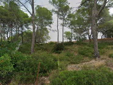 Terreni e lotti in vendita a Olivella