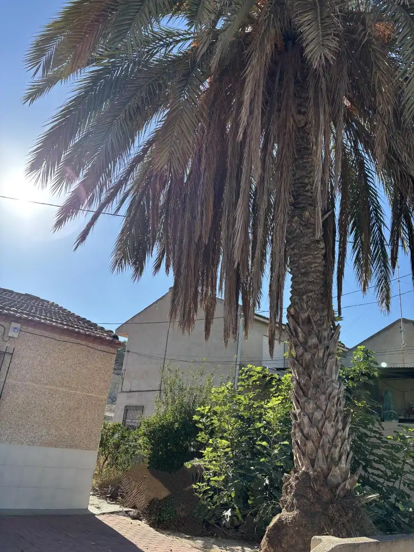 Exterior view of Houses for sale in Murcia