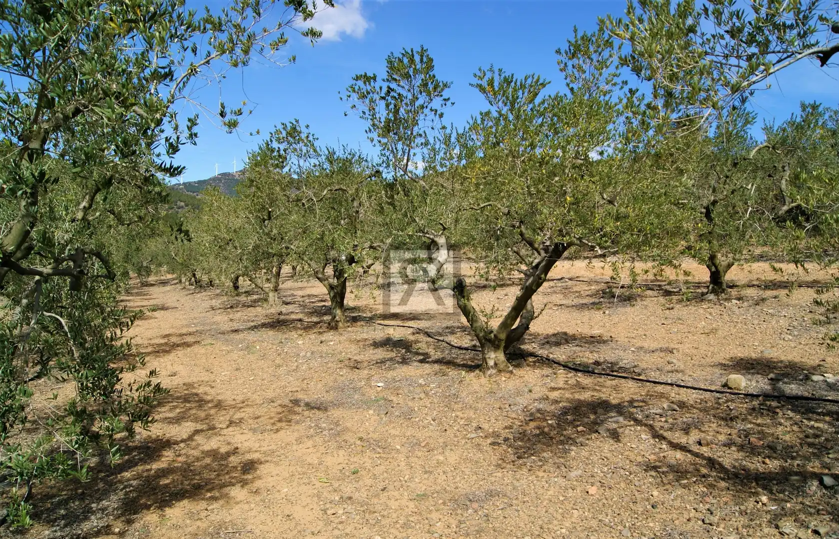 Terreno en venta en T-313, 5, Duesaigües