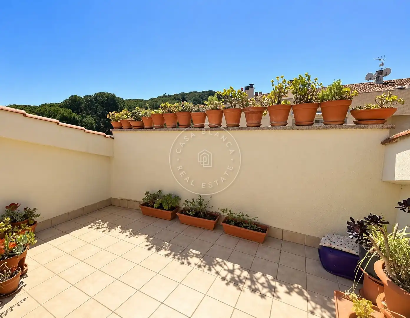 Terrace of Duplexes for sale in Santa Clotilde