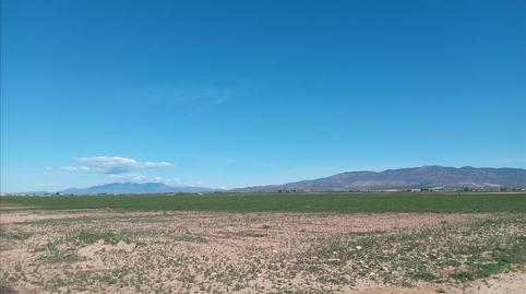 Foto 5 von Residential zum Verkauf in Diputacion de Media Legua, Centro, Fuente Álamo de Murcia